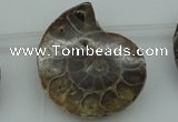 CTD365 Top drilled 25*35mm - 35*45mm carved ammonite gemstone beads