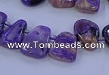 CTD3652 Top drilled 10*14mm - 15*20mm freeform charoite beads