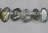 CTD3672 Top drilled 5*8mm - 10*14mm freeform plated white crystal beads