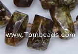 CTD3706 Top drilled 10*15mm - 15*25mm faceted nuggets garnet beads