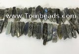 CTD3739 Top drilled 8*20mm - 10*50mm sticks labradorite beads