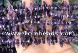 CTD3755 15.5 inches 4*6mm - 6*20mm sticks amethyst gemstone beads