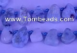 CTD3859 Top drilled 6*8mm - 10*12mm freeform larimar beads