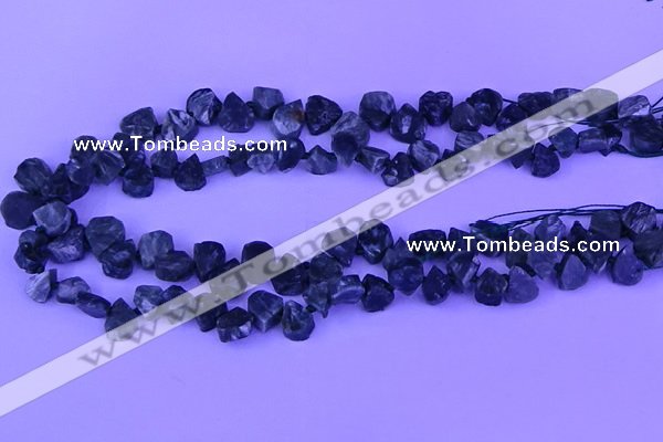 CTD3861 Top drilled 8*10mm - 10*12mm freeform seraphinite beads