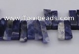 CTD401 Top drilled 4*15mm - 6*20mm sticks sodalite gemstone beads