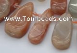 CTD485 Top drilled 10*22mm - 15*45mm freeform moonstone beads