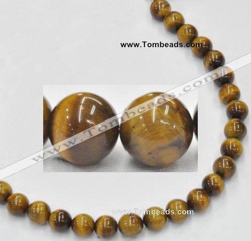 CTE08 15.5 inches 12mm round yellow tiger eye beads Wholesale