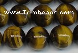 CTE1220 15.5 inches 10mm round AB+ grade yellow tiger eye beads