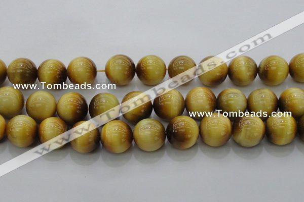 CTE1406 15.5 inches 16mm round golden tiger eye beads wholesale