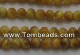 CTE1410 15.5 inches 4mm round golden tiger eye beads wholesale