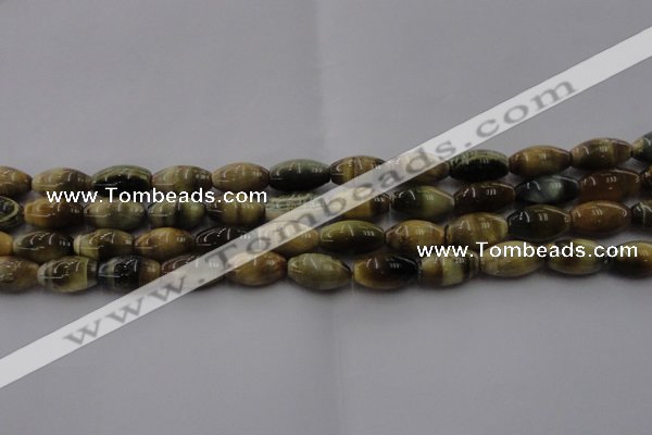 CTE1553 15.5 inches 8*12mm rice golden & blue tiger eye beads wholesale