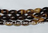 CTE157 15.5 inches 6*8mm rice yellow tiger eye gemstone beads