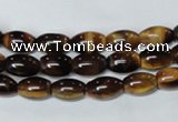 CTE158 15.5 inches 8*12mm rice yellow tiger eye gemstone beads