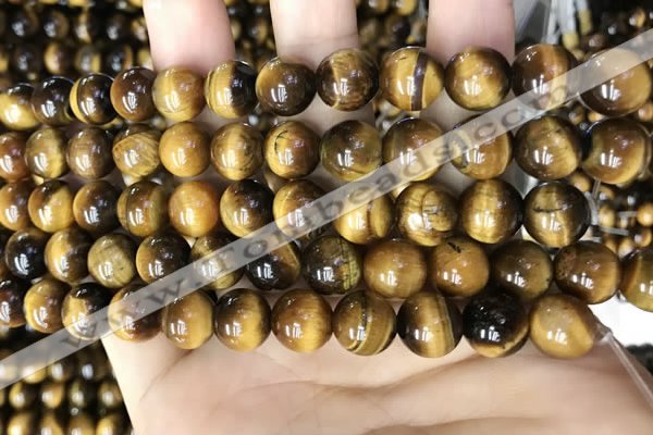 CTE2148 15.5 inches 8mm round yellow tiger eye beads wholesale