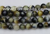 CTE551 15.5 inches 6mm round golden & blue tiger eye beads