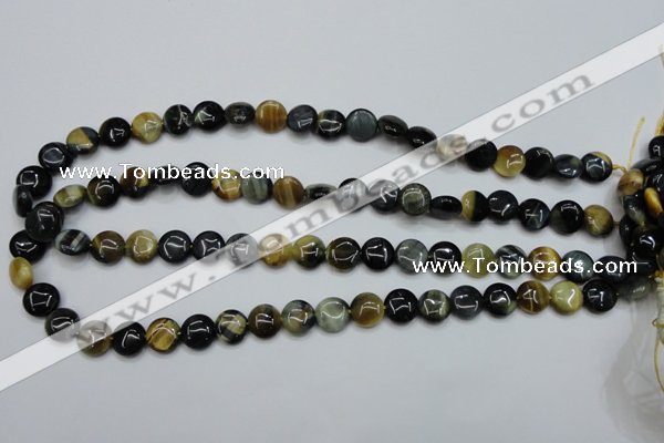 CTE560 15.5 inches 10mm flat round golden & blue tiger eye beads