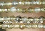 CTG1077 15.5 inches 2mm faceted round tiny labradorite beads