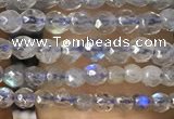 CTG1078 15.5 inches 2mm faceted round tiny labradorite beads