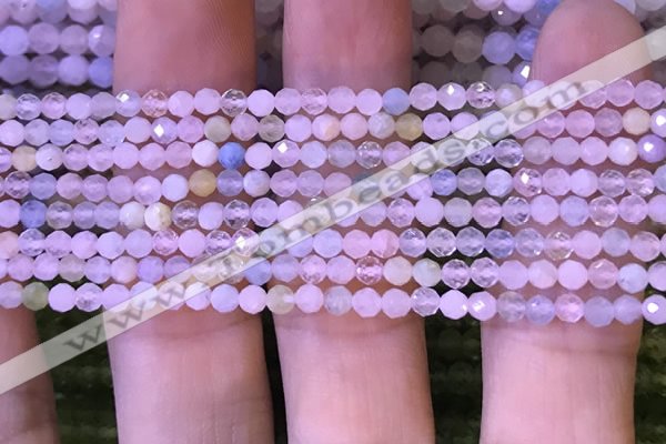 CTG1134 15.5 inches 3mm faceted round tiny morganite beads