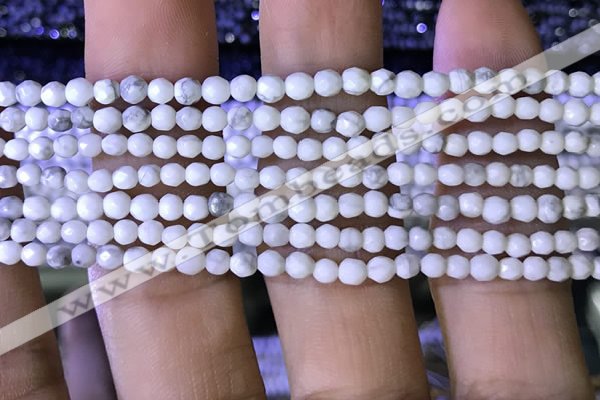 CTG1170 15.5 inches 3mm faceted round tiny white howlite beads