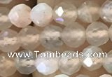 CTG1207 15.5 inches 4mm faceted round tiny rainbow moonstone beads