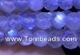 CTG1209 15.5 inches 4mm faceted round tiny labradorite beads