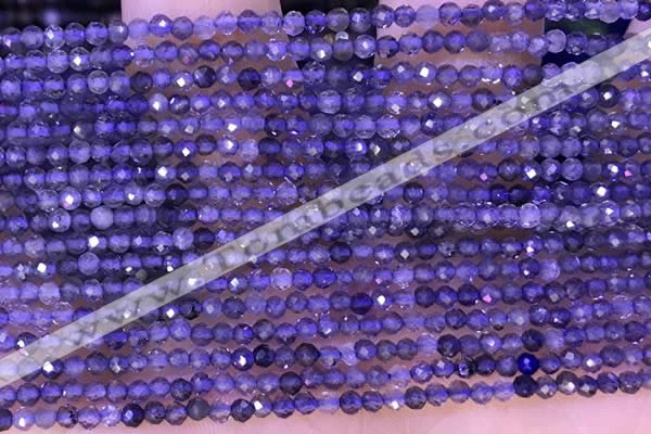 CTG1329 15.5 inches 2mm faceted round iolite beads wholesale