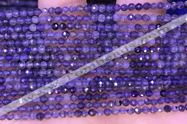 CTG1330 15.5 inches 3mm faceted round iolite beads wholesale