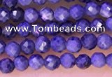 CTG1333 15.5 inches 2mm faceted round sapphire beads wholesale