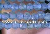 CTG1380 15.5 inches 2mm faceted round tiny apatite beads