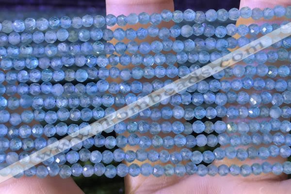 CTG1380 15.5 inches 2mm faceted round tiny apatite beads