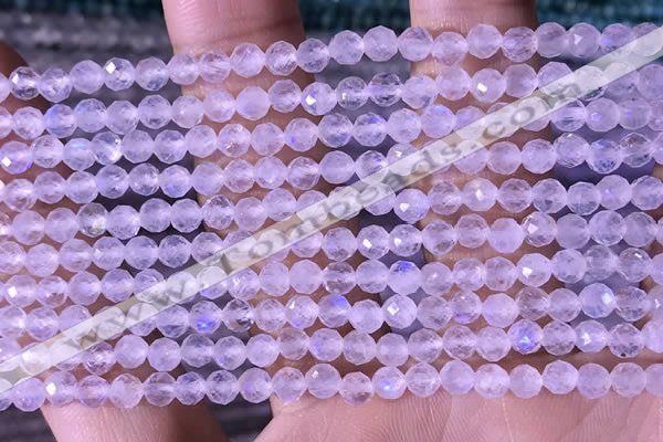 CTG1394 15.5 inches 4mm faceted round tiny white moonstone beads