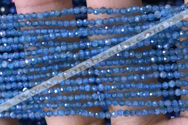 CTG1417 15.5 inches 2mm faceted round apatite beads wholesale