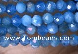 CTG1418 15.5 inches 2mm faceted round apatite beads wholesale