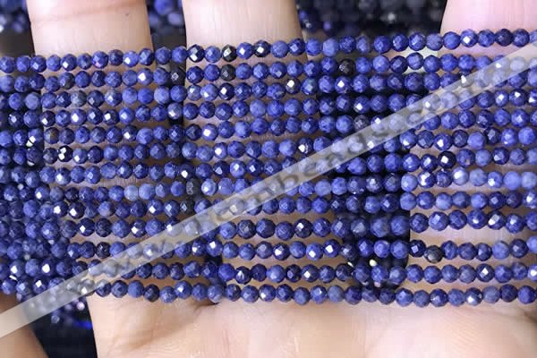 CTG1448 15.5 inches 2mm faceted round sapphire beads wholesale