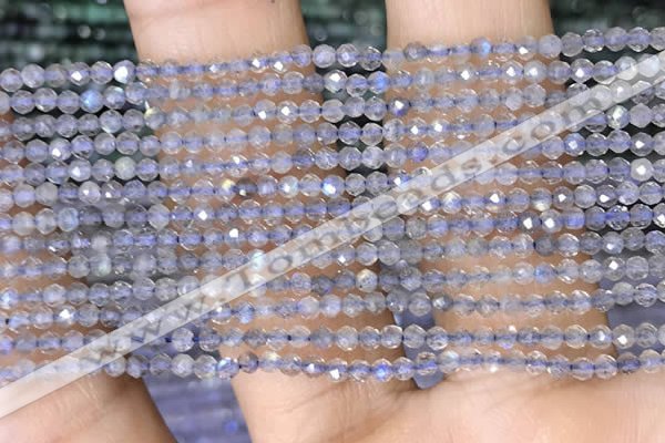 CTG1458 15.5 inches 2mm faceted round labradorite gemstone beads