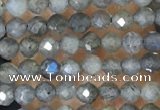 CTG1459 15.5 inches 2mm faceted round labradorite beads wholesale