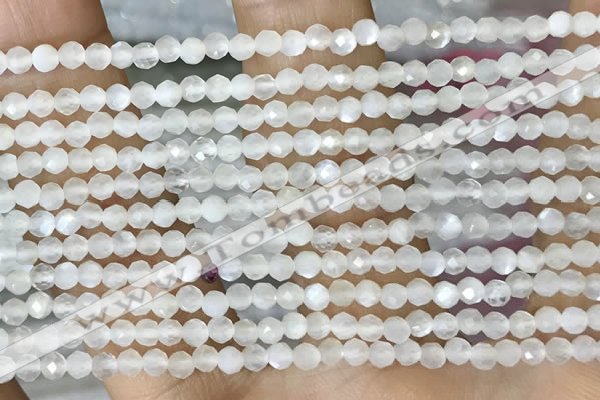 CTG1480 15.5 inches 3mm faceted round white moonstone beads