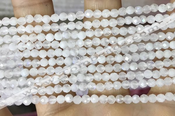 CTG1481 15.5 inches 3mm faceted round white moonstone beads