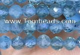 CTG1497 15.5 inches 3mm faceted round apatite beads wholesale