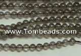 CTG150 15.5 inches 3mm round tiny smoky quartz beads wholesale