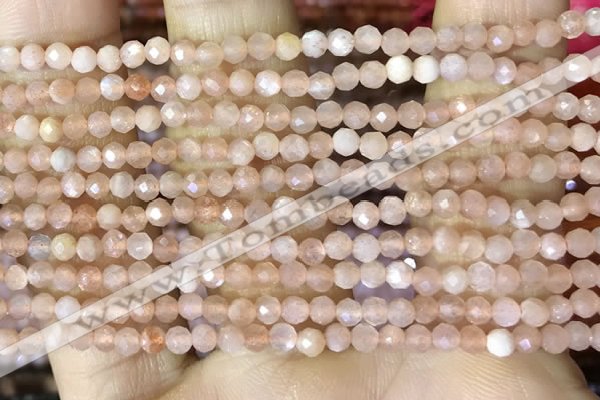 CTG1502 15.5 inches 3mm faceted round moonstone beads wholesale
