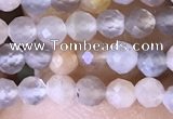 CTG1504 15.5 inches 3mm faceted round moonstone beads wholesale