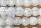 CTG1580 15.5 inches 4mm round white moonstone beads wholesale