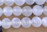 CTG1581 15.5 inches 4mm round white moonstone beads wholesale