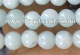 CTG1593 15.5 inches 4mm round amazonite gemstone beads wholesale