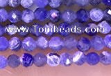 CTG1665 15.5 inches 2mm faceted round tiny sodalite beads