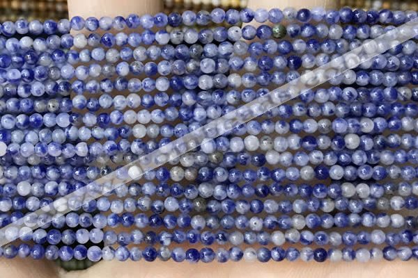 CTG2017 15 inches 2mm,3mm sodalite gemstone beads