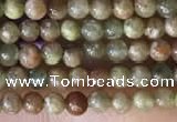 CTG2045 15 inches 2mm,3mm China unakite beads