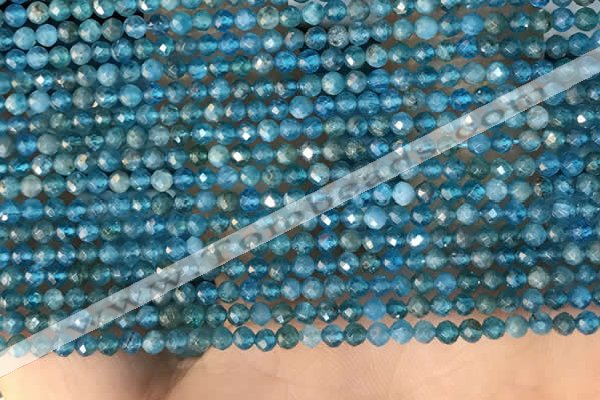 CTG2130 15 inches 2mm,3mm faceted round apatite gemstone beads